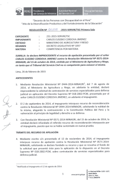 "Decenio de las Personas con Discapacidad en el Perú”