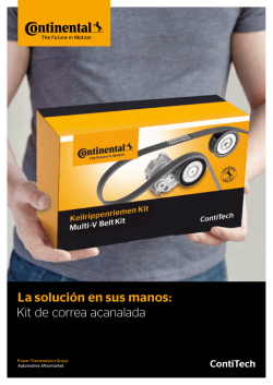 Kit de correa acanalada