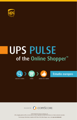 UPS Pulse of the Online Shopper, Infografía