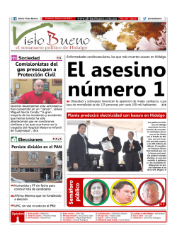 Descargar PDF - El Visto Bueno