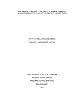 mejoramiento del &aacute;ngulo de fricci&oacute;n interna en arenas arcillosas