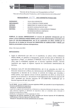 "Decenio de las Personas con Discapacidad en el Perú”