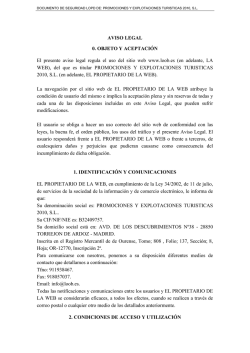 en adelante, LA WEB