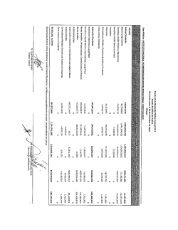 Estado Analítico del Activo