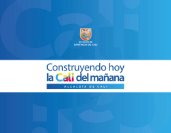 Comité Maternidad Segura