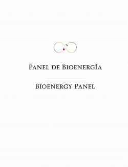 Bioenergía