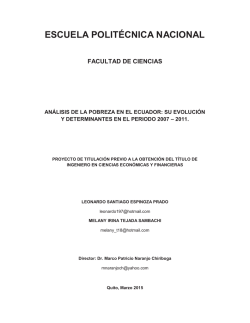 su evolución y determinantes en el periodo 2007