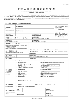 Form V.2013 - Camara China Guatemala