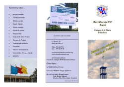 Tríptico informativo - BVM Irlandesas Bami