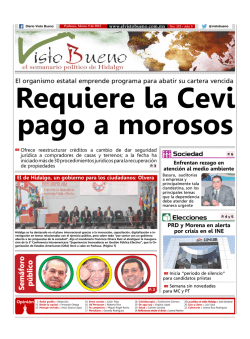 Descargar PDF - El Visto Bueno