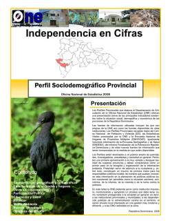 PERFIL PROVINCIAL NUEVO FORMATO INDEPENDENCIA.pub