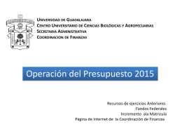 Nuevos p3e y Rec. Autogenerados