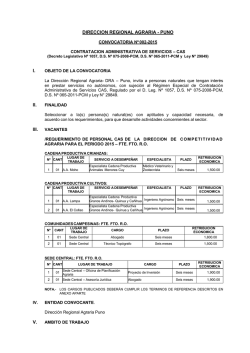 Convocatoria - Direcci&oacute;n Regional Agraria Puno