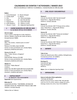 Formato PDF - Viña del Mar