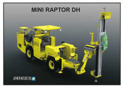 Raptor Mini DH