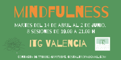 2 GRUPO MINDFULNESS