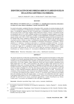 IDENTIFICACIÓN DE MICORRIZAS ARBUSCULARES