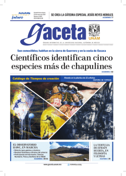 Edici&oacute;n impresa