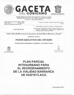 plan parcial intraurbano para el reordenamiento de la vialidad
