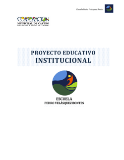 P.E.I. - Escuela Pedro Vel&aacute;squez Bontes