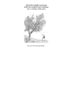 isAllowed=y;Apuntes sobre algunas especies forestales nativas de la sierra