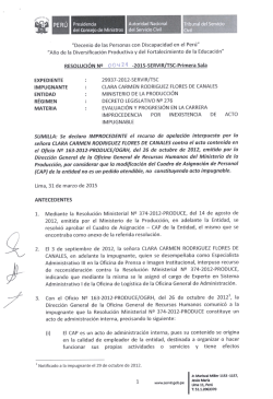 "Decenio de las Personas con Discapacidad en el Perú