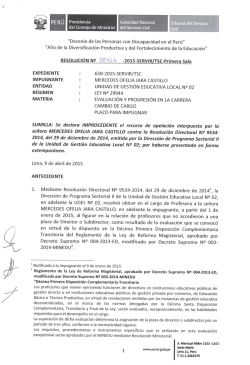 "Decenio de las Personas con Discapacidad en el Perú”