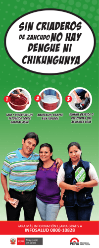 BANNER ROLLER-DENGUE