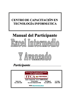 manual-de-excel-intermedio-y-avanzado-32-hrs-plan-2013-1