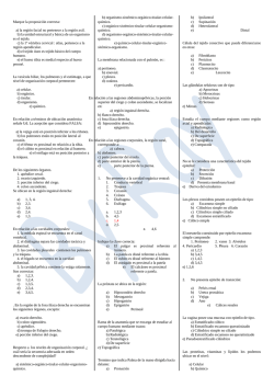 ANAT- PRIM EX 08-III