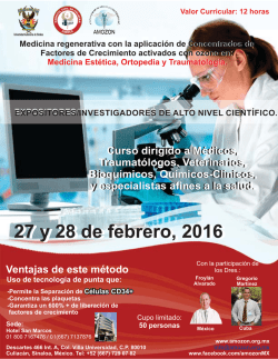 Programa Web.cdr