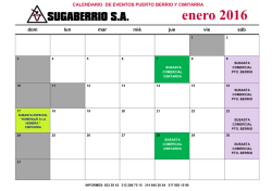CALENDARIO DE SUBASTAS AÑO 2016.xlsx