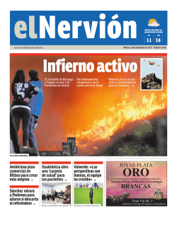 NERVION29122015 : BIL : 1 : Página 1