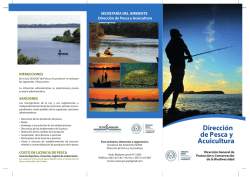 Dirección de Pesca y Acuicultura