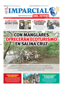 con manglares ofrecerán ecoturismo en salina cruz