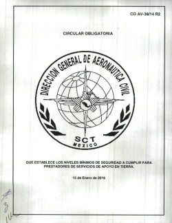 CO AV-38/14 R2 Que establece los niveles mínimos de