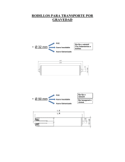 RODILLOS PARA TRANSPORTE POR GRAVEDAD