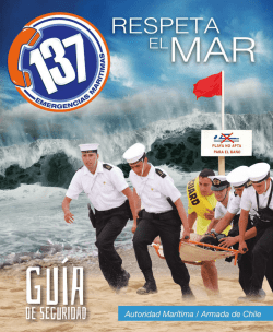 guía de seguridad 137