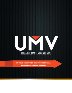 informe de gesti&oacute;n direcci&oacute;n general