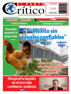 pdf-web - El Punto Critico