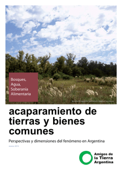acaparamiento de tierras y bienes comunes