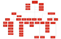 organigrama doble carta