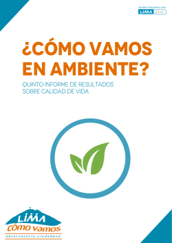 &iquest;C&Oacute;MO VAMOS EN ambiente?
