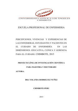 escuela profesional de enfermeria para el cuidado. chimbote, 2015