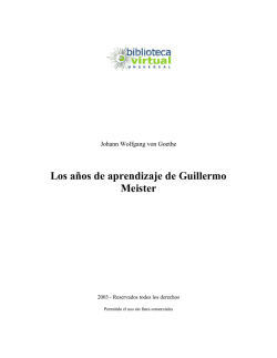 Los años de aprendizaje de Guillermo Meister