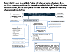 Tema 8. La Dirección General de la Policía