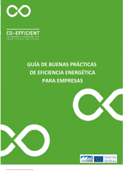 guía de buenas prácticas de eficiencia energética para