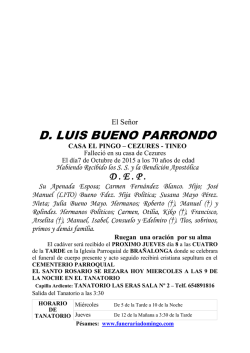 D. LUIS BUENO PARRONDO
