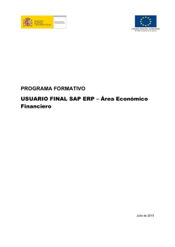 Usuario final SAP ERP – área económico financiero