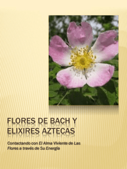 Flores de Bach y Elixires Aztecas